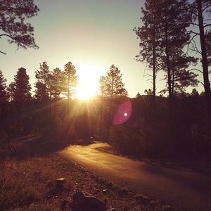 Meet your Posher, Cameron